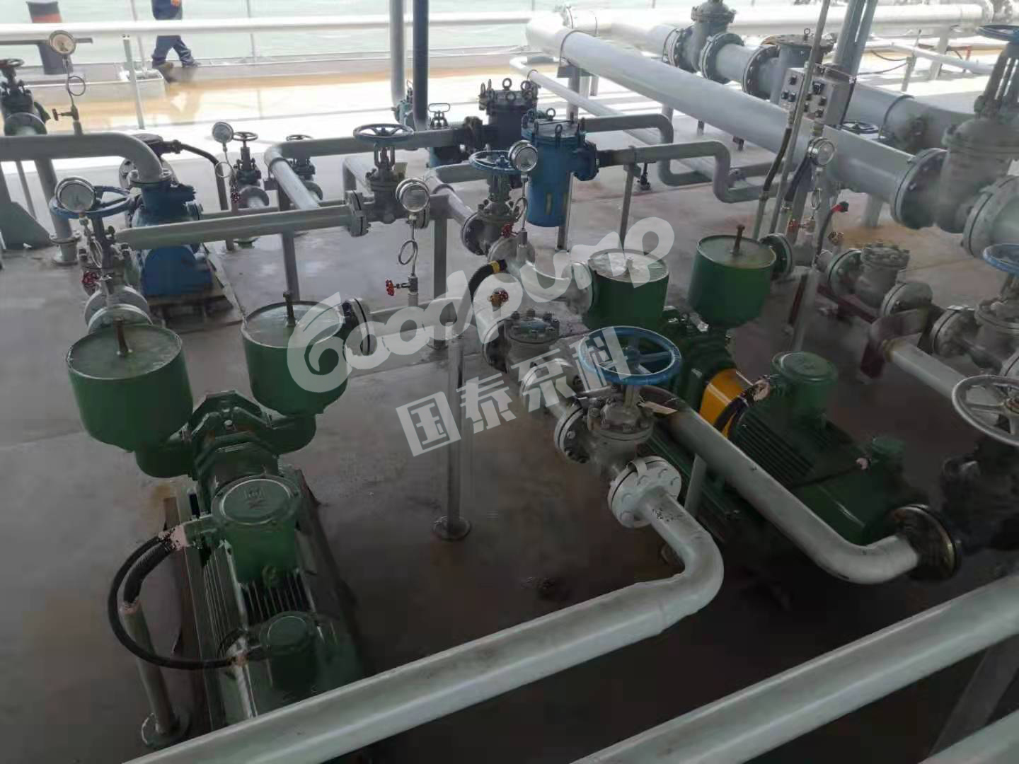 船用羞羞视频成人网站
